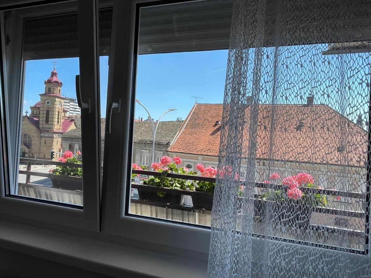 Sunny Apartment Vrsac Eksteriør billede