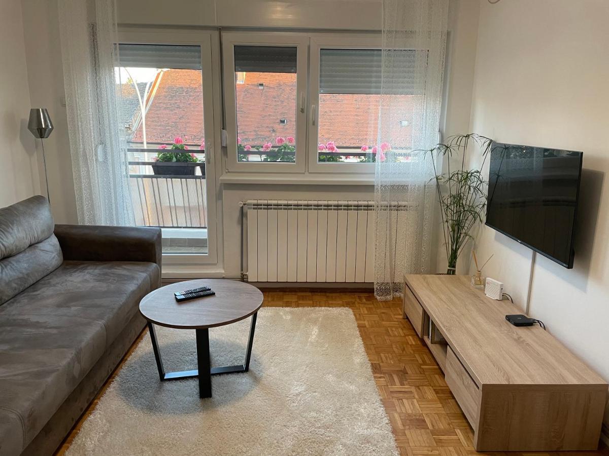 Sunny Apartment Vrsac Eksteriør billede